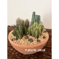 Centro de cactus