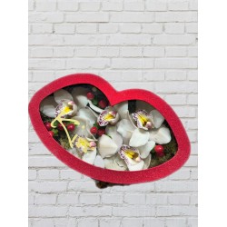 Caja Kiss Orquídeas