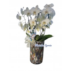 Cristal Orquídeas Blancas