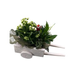 Cesta plantas Amore