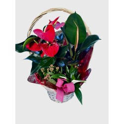 Cesta Universo Floral