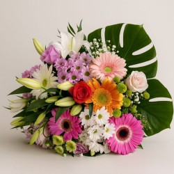 Ramo Mediterraneo gross