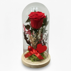 Cúpula Rosa Roja Mamá