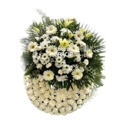 Corona Floral White