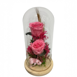 Cúpula Alta Rosa Eterna